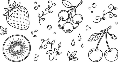 Fresh organic berry fruit line icon set with strawberry kiwi blueberry cherry doodle linear vector illustration design element © MDSAIFUL