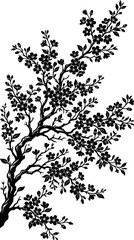 Fototapeta premium Black silhouette of blooming cherry blossom tree branch.