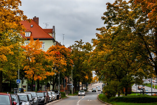 Munich Streets Framed By Colorful Autumn Trees