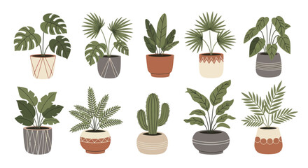 Collection of Potted Houseplants with Various Leaf Shapes and Pots. © Wita