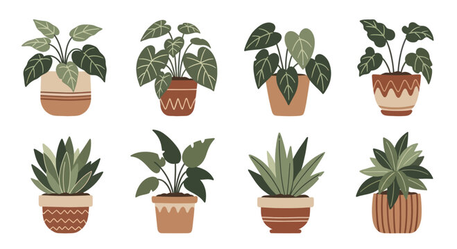 Collection of Potted Houseplants with Decorative Pots.