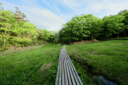 丸山湿原