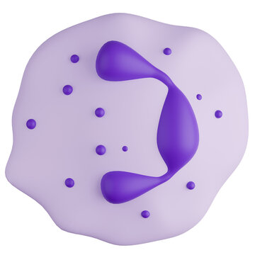 Neutrophil White Blood Cell with Segmented Nucleus and Granules 3D Illustration.