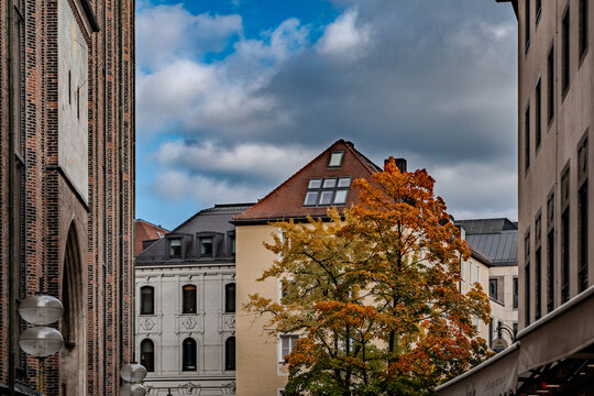 Autumn Tree Among Historic Buildings in Munich