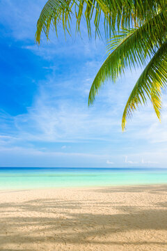 view from the beach to the blue sea with hanging palm leaves, tropical background