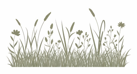 Silhouette of various wild grasses and wildflowers growing in a field. © Faiz