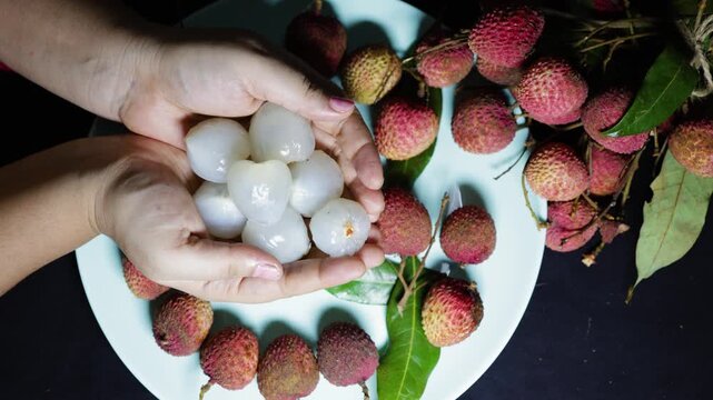 hands presenting sweet peeled lychee fruits from seasonal tropical harvest