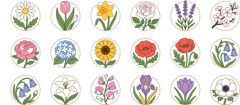 Flower outline vector icon set with text labels featuring colorful rose tulip daisy lily cherry blossom lavender hydrangea daffodil poppy sunflower and peony blooms.