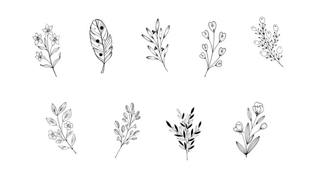 Minimalist Elegant Botanical Line Illustrations Vector Set
