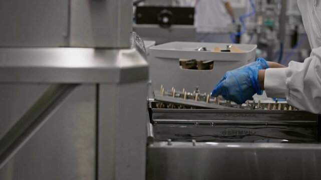 Worker lifts a rack of chocolate popsicles from a freezing brine tank during commercial ice cream manufacturing. Frozen treats are removed from moulds as part of the production process.