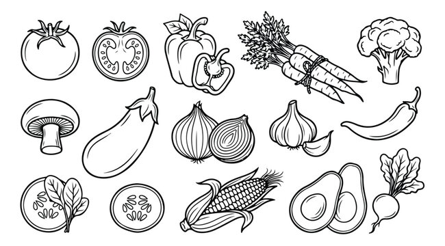 Fresh Vegetable Illustrations, Hand-Drawn Line Art Collection: Tomato, Bell Pepper, Asparagus, Broccoli, Eggplant, Onion, Garlic, Chili, Corn, Avocado, Radish, Mushroom, Spinach, Cucumber
