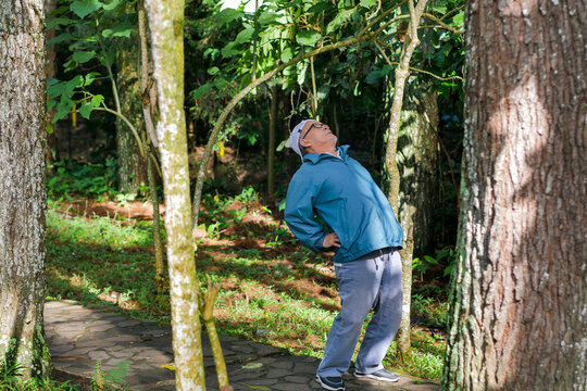 Elderly Man Bending Backward to Stretch His Back During Morning Exercise Session