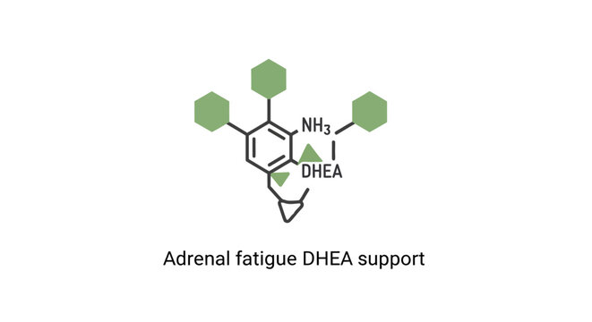 DHEA molecular structure for adrenal fatigue support, science and health concept