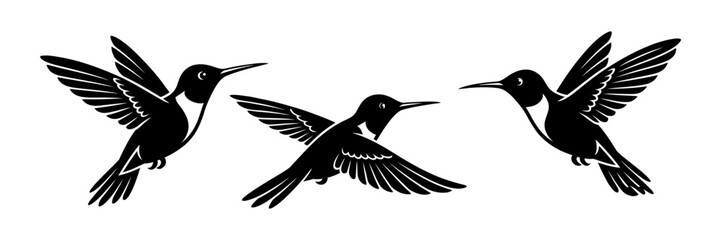 Obraz premium Stylized black and white flying hummingbird silhouettes in trio set
