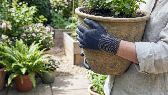Close up of senior hands gardening and lifting heavy pot wearing premium tech enhanced haptic gloves