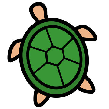 Sea Turtle