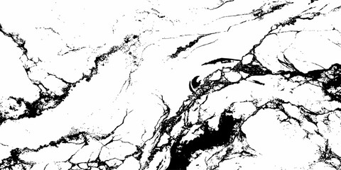 Obraz premium Abstract Luxury Marble Texture Background with Flowing Black Veins and White Stone Surface.
