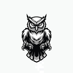 Fototapeta premium Detailed illustration of an owl.