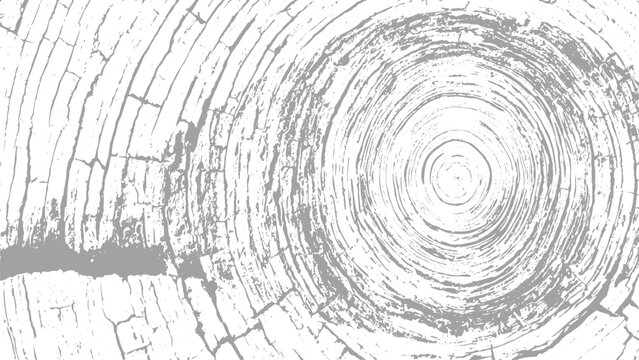 Vintage Tree Ring Texture Pack with Distressed Circular Wood Patterns and Grunge Elements.