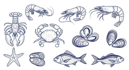 Collection of Hand Drawn Seafood Illustrations. © DOG2