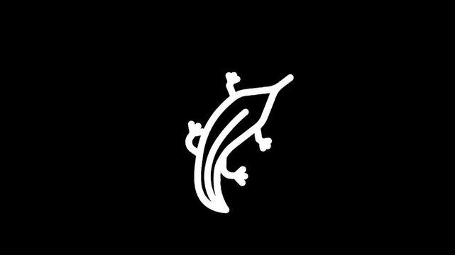 Minimalist white gecko or lizard icon on a solid black background