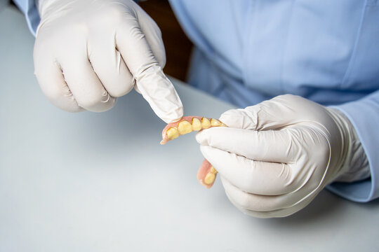 Dental professional holding removable partial denture for display