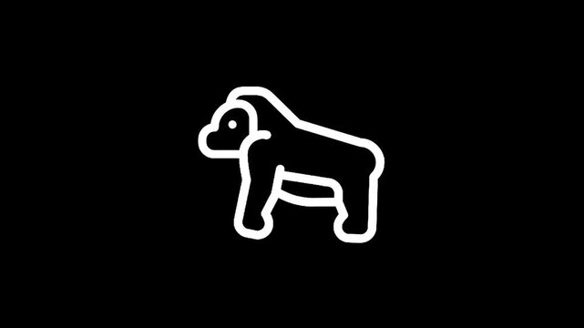 Simple white outline of a gorilla standing on a black background