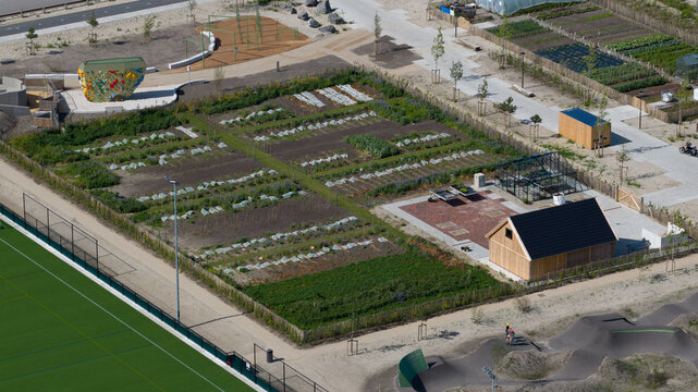 Urban Farming Community Garden in residential area, Urban agriculture.