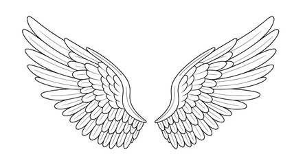 Fototapeta premium Intricate black and white line drawing of a pair of large feathered wings spread wide against a white background.