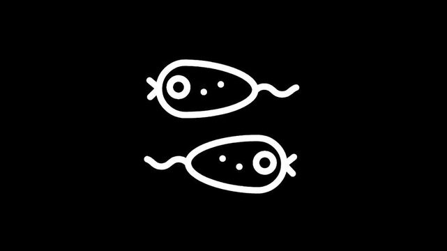 Two simple white bacteria icons with tails on a black background