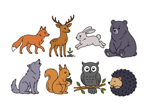 Cute Forest Animals Collection Fox, Deer, Rabbit, Bear, Wolf, Squirrel, Owl, Hedgehog
