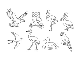 Obraz premium Collection of Diverse Bird Silhouettes Eagle, Owl, Flamingo, Pelican, Swallow, Heron, Duck, Parrot