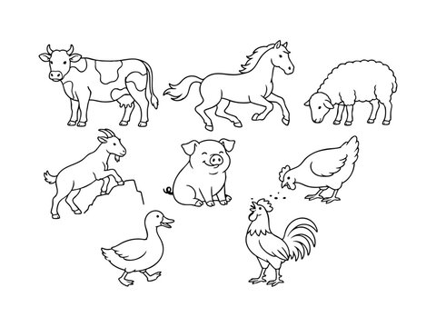 Farm Animals Collection Cow, Horse, Sheep, Goat, Pig, Chicken, Rooster, Duck Line Art