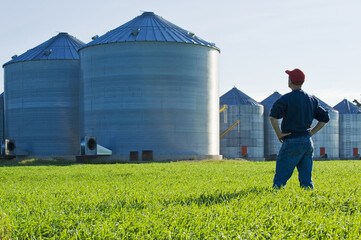 a man looks out over a wheat field with grain storage bins in the background,near Dugald, Manitoba, Canada © Dave