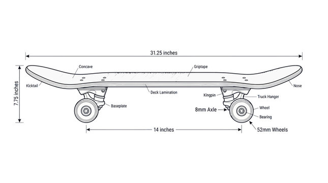 Technical diagram of a skateboard showing parts and measurements