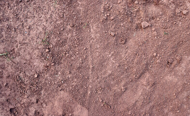 Fototapeta premium Dry earthy soil texture with compact rough surface and natural ground detail perfect for geology, backgrounds, and design visual
