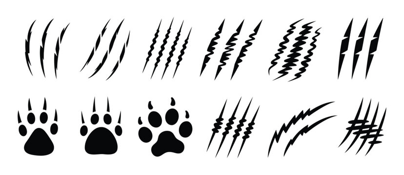 Dark beast claw slashes, ripped paper cut effect, scary animal nail scratches, black monster tear marks, horror halloween texture background, mystery vector design elements.