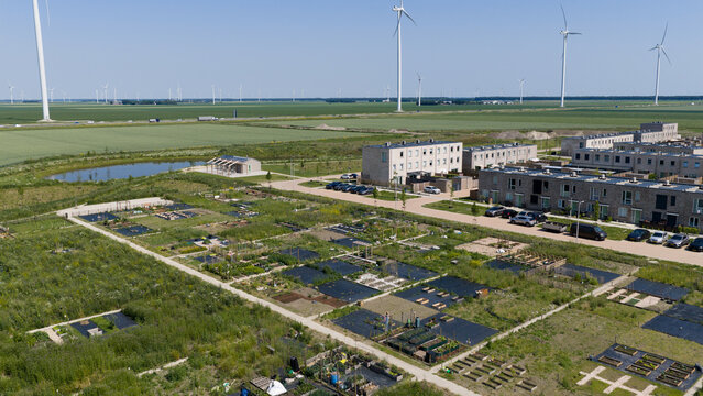 Urban Agriculture in Kreekvelden, Almere