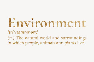Fototapeta premium Environment definition, gold dictionary word