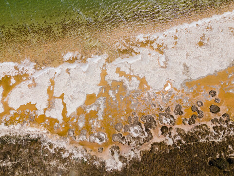 Aerial view of the ancient thrombolites along the shoreline of Lake Clifton, featuring unique microbial structures, salt crusts, and shallow water in Lake Clifton, Western Australia, Australia.