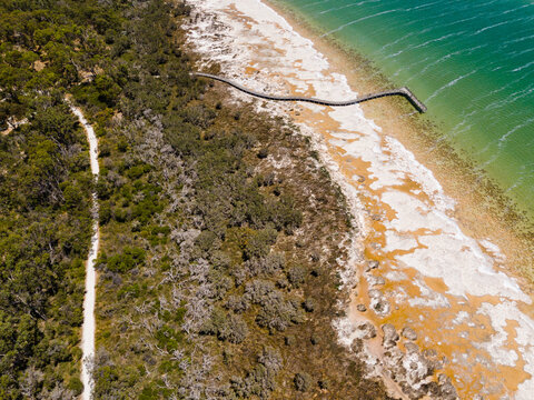 Aerial view of Lake Clifton Thrombolites showing microbial structures along the shoreline, a wooden boardwalk, and native vegetation in Lake Clifton, Western Australia, Australia.
