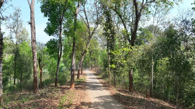 A drone follow shot in Assam&rsquo;s dry season captures a scenic road winding between leafless forest trees and hills, revealing a peaceful journey through nature&rsquo;s quiet, rustic beauty. 4K