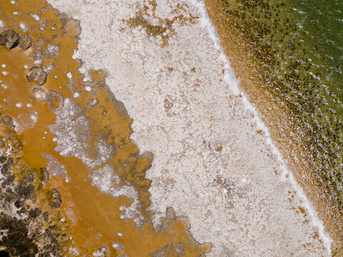 Aerial view of Lake Clifton Thrombolites, showing microbialite formations along the shoreline with white salt deposits and shallow green water in Lake Clifton, Western Australia, Australia.