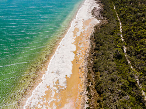 Aerial view of Lake Clifton Thrombolites showing unique microbial structures along the shoreline, bordered by dense bushland and turquoise waters in Lake Clifton, Western Australia, Australia.