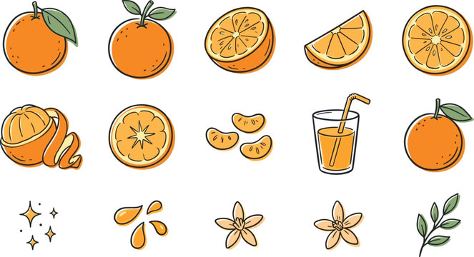 Fresh Orange Fruit and Citrus Juice Icon Set with Slices Segments Leaves Flowers and Beverage Elements for Healthy Organic Packaging Designs