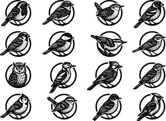 Vintage bird logo set, 16 hand-drawn avian vector icons in circles, black and white songbird illustrations for branding and nature designs © Arfin