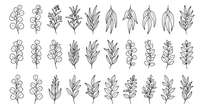 Hand drawn eucalyptus leaf branches, 27 botanical line art icons, minimalist floral vector set