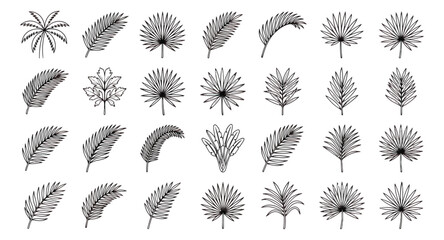 Tropical palm leaf vector icons, black line art foliage set, 28 botanical summer plant elements © usmi