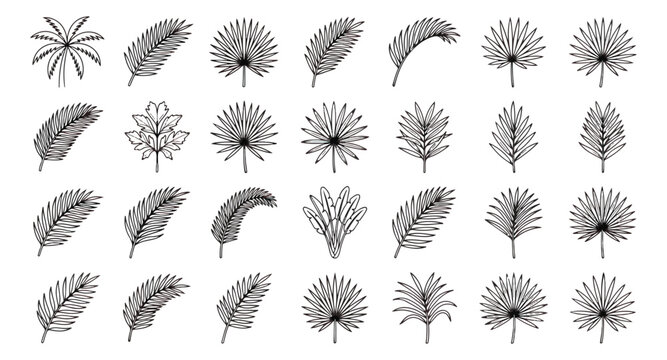 Tropical palm leaf vector icons, black line art foliage set, 28 botanical summer plant elements