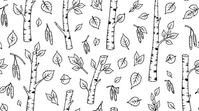 Hand drawn birch trees and scattered leaves illustration.